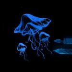 Lighthouse invisible ink - Image 2